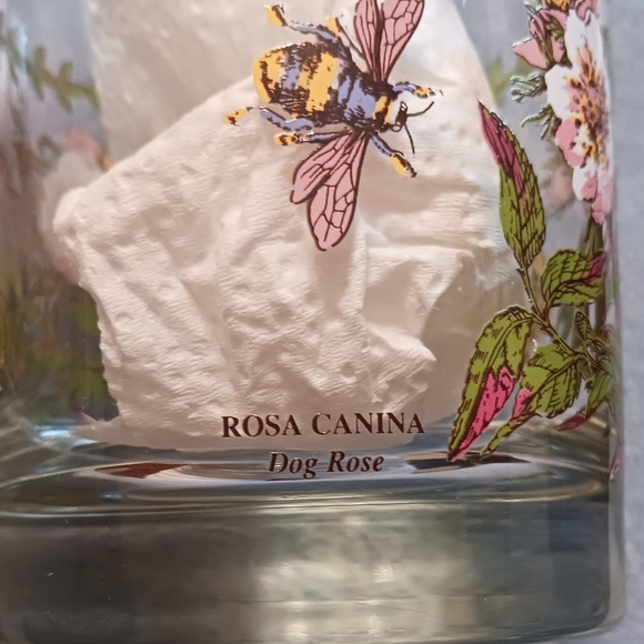 Portmeirion Old Fashion Glasses, "Botanic Garden (2) - Picture 3 of 6